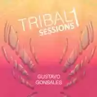 Free download DJ Gustavo Gonsales TRIBALSESSIONS 1 [cover] free photo or picture to be edited with GIMP online image editor